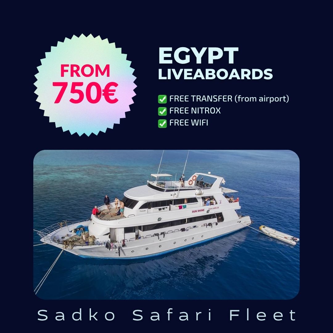 Dive Safari Egypt